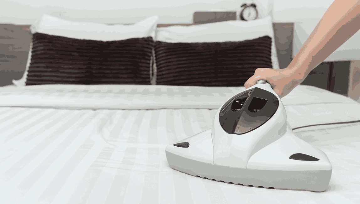 Professional Mattress Cleaning Tecoma
